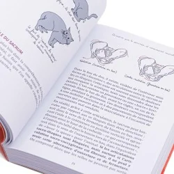 Livre Périnée arrêtez le massacre