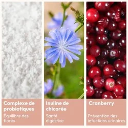 ingrédients complément alimentaire miyé flore intime et intestinale