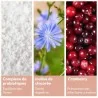 ingrédients complément alimentaire miyé flore intime et intestinale