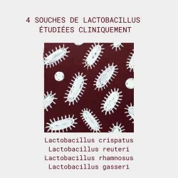 souches des lactobacilles flore intime de gapianne