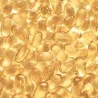 capsules bourrache, onagre et vitamine E