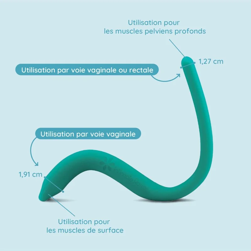 Baguette pelvienne vibrante Baguette pelvienne vibrante