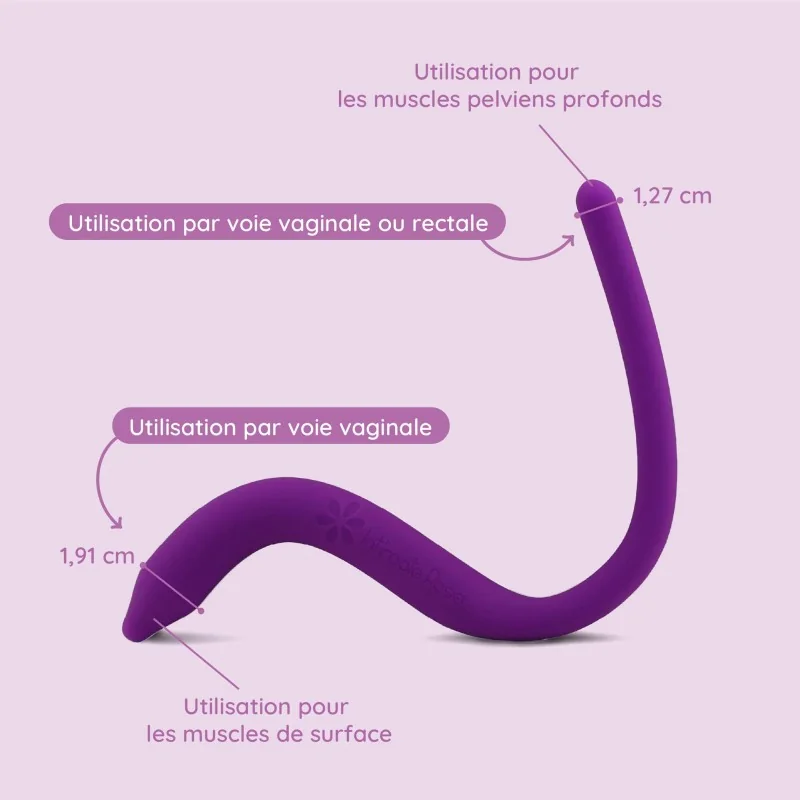 Baguette pelvienne Baguette pelvienne