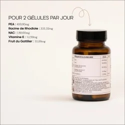 Règles douloureuses 7